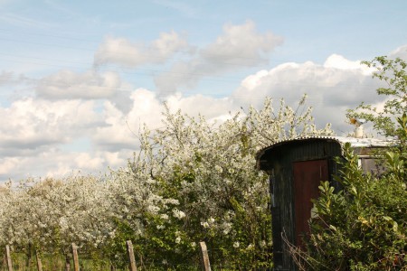 april - Borgloon